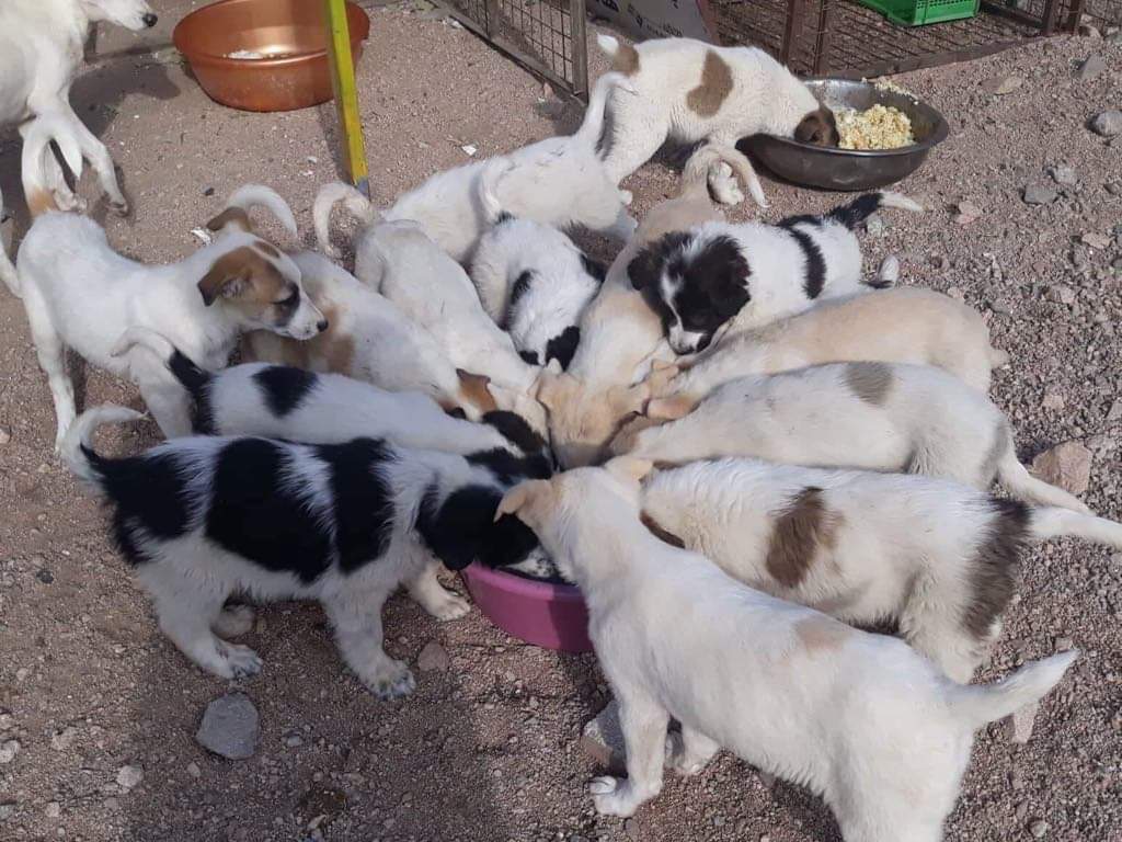 Aqaba - experiențe culturale și de aventură autentice în Iordania